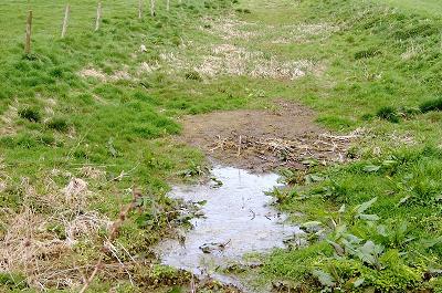 First Puddle