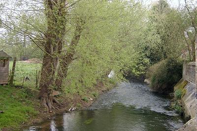 Thames at Cricklade