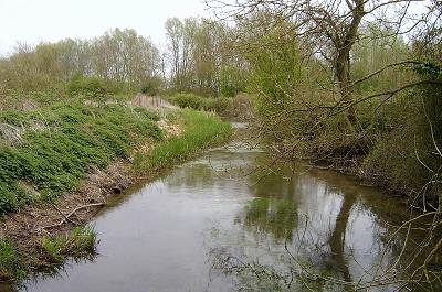 Thames at Waterpark