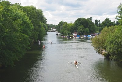 The Desborough Cut Downstream