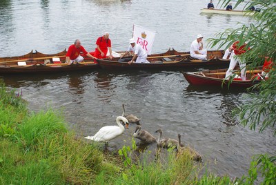 The Swans are Surrounded