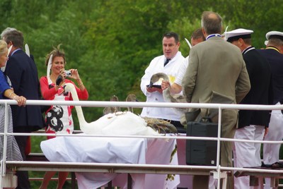 Weighing the Swans