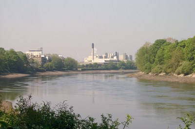 Mortlake Upstream