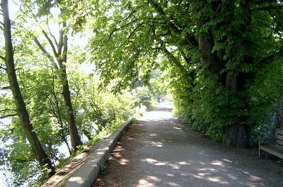 Shady Towpath at Kew