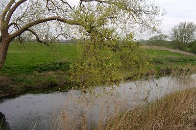 Thames Downstream of Crickslade