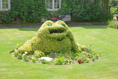 Frog at Rushey Lock