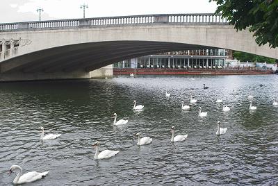 Caversham Bridge