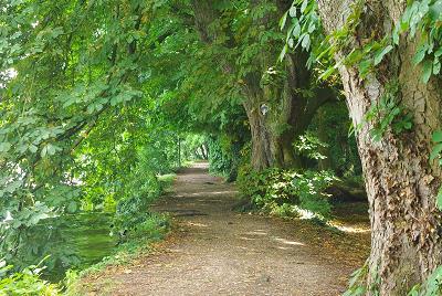 Towpath at Hurley