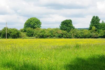 View Across Cock Marsh