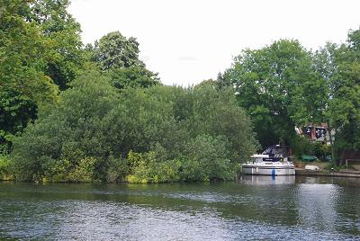 Runnymede Island